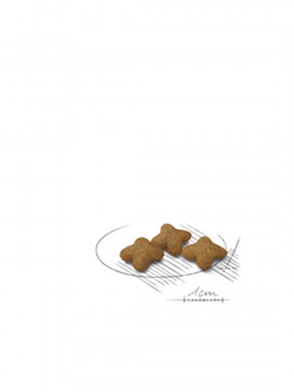 CCN XSMALL STER AD 1,5KG_web4